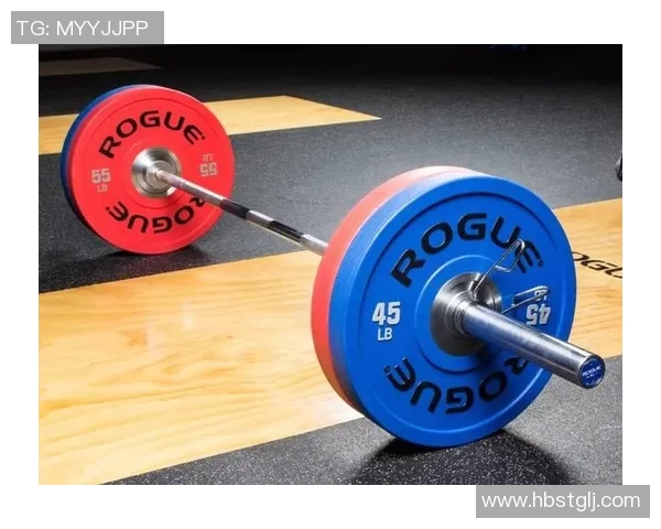 全面解析体育健身器材种类及其功能助你选择适合的健身工具