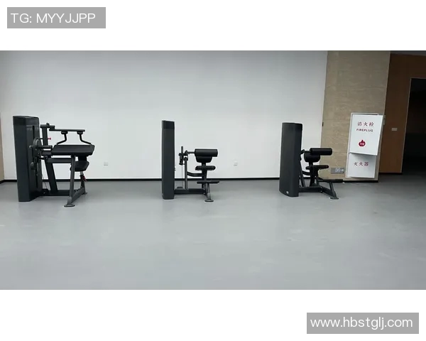 健身器材代理市场分析与发展趋势探讨助力健身行业新机遇