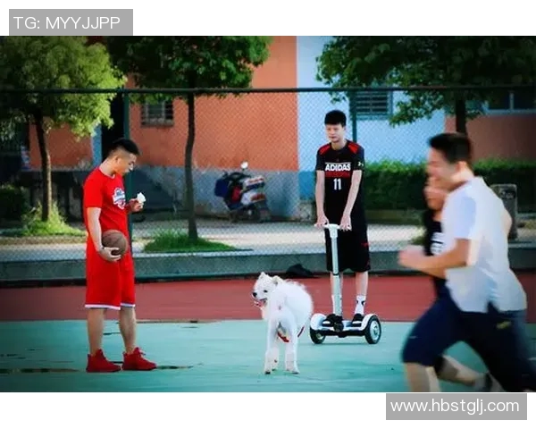 篮球明星妹妹的成长之路与梦想追逐的精彩故事
